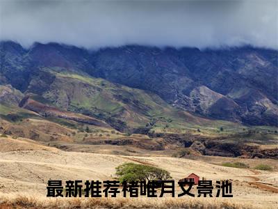 褚唯月文景池是什么小说-（褚唯月文景池）小说褚唯月文景池全文阅读