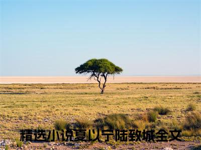 夏以宁陆致城（夏以宁陆致城）全文在线阅读无弹窗大结局_(夏以宁陆致城免费阅读全文大结局)最新章节列表_笔趣阁