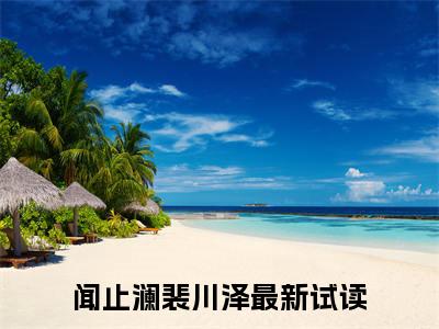 闻止澜裴川泽小说免费阅读 闻止澜裴川泽免费阅读无弹窗小说