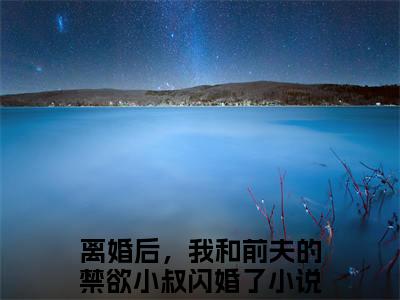 路吟风莫南泽（离婚后，我和前夫的禁欲小叔闪婚了）全文免费阅读无弹窗大结局-路吟风莫南泽最新章节列表免费阅读