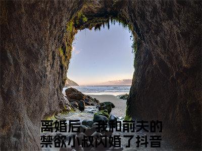 路吟风莫南泽（离婚后，我和前夫的禁欲小叔闪婚了）全文免费阅读无弹窗大结局_路吟风莫南泽最新章节完整版阅读