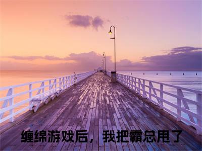 梁数魏卫全文免费阅读无弹窗大结局_（缠绵游戏后，我把霸总甩了）最新章节列表_笔趣阁（梁数魏卫小说）