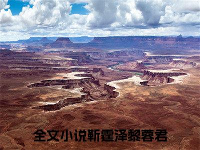 靳霆泽黎蓉君全文阅读-靳霆泽黎蓉君小说免费阅读大结局