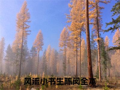 风流小书生陈闵小说最新章节（风流小书生陈闵）全文免费阅读无弹窗大结局_风流小书生陈闵免费阅读（风流小书生陈闵小说）