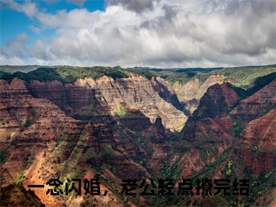 一念闪婚，老公轻点撩小说（夏栀贺锦南）完整版小说阅读_一念闪婚，老公轻点撩全本列表免费笔趣阁