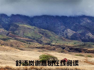 主角为舒语岚谢嘉树的小说叫什么-最新小说全文阅读