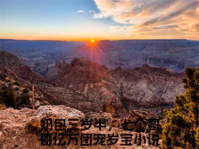 奶包三岁半，七个哥哥亿万团宠岁宝（奶包三岁半，七个哥哥亿万团宠岁宝）最新章节阅读-奶包三岁半，七个哥哥亿万团宠岁宝小说大结局