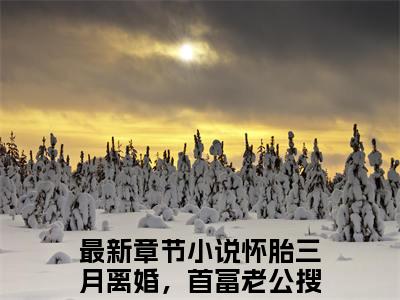 怀胎三月离婚，首富老公搜遍全球小说在线阅读全文无弹窗_傅寒夜沈念小说最新全文完整无删减版