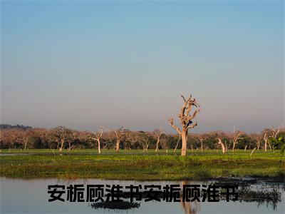 安栀顾淮书（安栀顾淮书）全文免费阅读无弹窗大结局_安栀顾淮书全文免费阅读无弹窗最新章节列表笔趣阁（安栀顾淮书）
