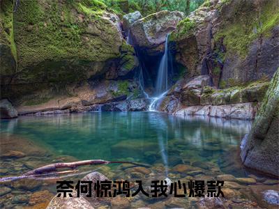 奈何惊鸿入我心（祈淮楼嫣）全文免费阅读无弹窗大结局_奈何惊鸿入我心全文免费阅读（祈淮楼嫣）最新章节列表