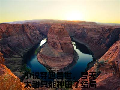 穿越兽世，兽夫太甜只能种田了小说-塞洛薇亚最新章节全文阅读