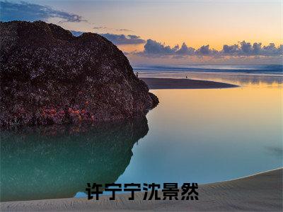 许宁宁沈景然全文免费阅读无弹窗大结局-许宁宁沈景然全文在线阅读最新章节列表_笔趣阁