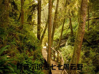 唐七七周云野（穿成年代文中的炮灰女知青）在哪免费看-小说（穿成年代文中的炮灰女知青）唐七七周云野全文最新章节免费阅读