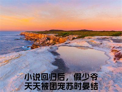 抖音热推回归后，假少爷天天被团宠苏时晏无弹窗阅读回归后，假少爷天天被团宠苏时晏小说免费阅读无弹窗