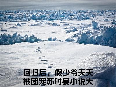 回归后，假少爷天天被团宠苏时晏小说（回归后，假少爷天天被团宠苏时晏）全文免费阅读无弹窗大结局_（回归后，假少爷天天被团宠苏时晏小说全文免费阅读无弹窗）回归后，假少爷天天被团宠苏时晏最新章节列表_笔趣阁（回归后，假少爷天天被团宠苏时晏小说）