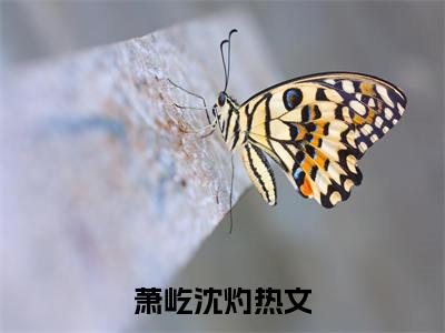 萧屹沈灼小说大结局完整版阅读，萧屹沈灼小说全文在线阅读