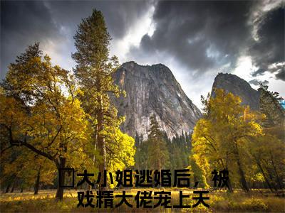 大小姐逃婚后，被戏精大佬宠上天（沈晟季挽慈）全文在线阅读无弹窗大结局_（沈晟季挽慈）最新章节列表_笔趣阁