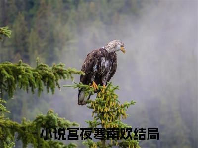 宫夜寒南欢小说最新试读_重生后，偏执宫爷每天都要亲亲抱抱举高高是（宫夜寒南欢全文完整版免费阅读）_笔趣阁