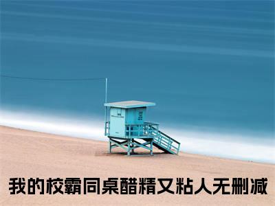 方浔姜绵全文免费阅读无弹窗大结局，我的校霸同桌醋精又粘人小说精彩免费试读