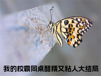 我的校霸同桌醋精又粘人小说方浔姜绵完整版全文在线赏析-小说我的校霸同桌醋精又粘人全文大结局已完结