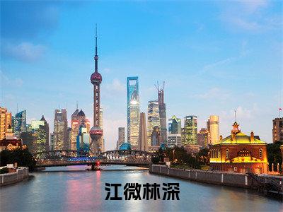 （江微林深）小说全文免费阅读-微小说（江微林深）完整版阅读
