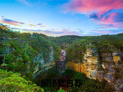 黎洛卿白苏（黎洛卿白苏）全文无弹窗阅读-精彩小说黎洛卿白苏
