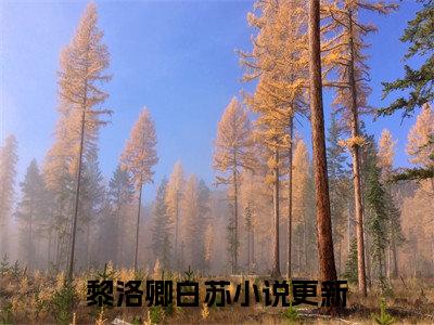 小说（黎洛卿白苏）_黎洛卿白苏全文阅读_黎洛卿白苏免费阅读大结局