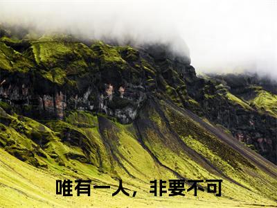 小说（许静姝顾温瑾）_唯有一人，非要不可全文阅读_小说许静姝顾温瑾免费阅读（唯有一人，非要不可）笔趣阁