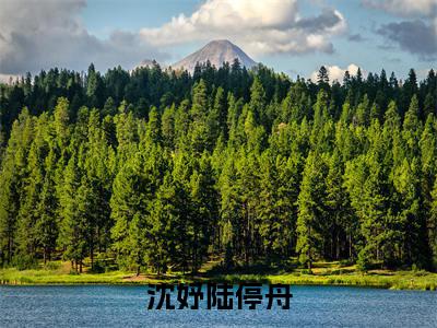 沈妤陆停舟完整版 沈妤陆停舟小说全文在线阅读