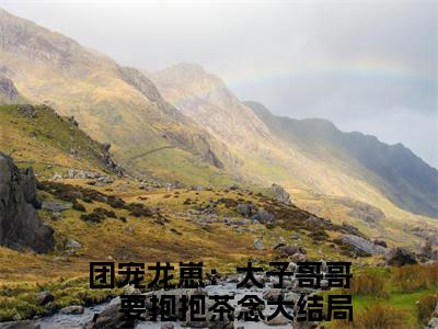 团宠龙崽：太子哥哥，要抱抱茶念（团宠龙崽：太子哥哥，要抱抱茶念小说）全文免费阅读无弹窗大结局_团宠龙崽：太子哥哥，要抱抱茶念全文免费阅读（团宠龙崽：太子哥哥，要抱抱茶念小说）最新章节列表_笔趣阁（团宠龙崽：太子哥哥，要抱抱茶念）