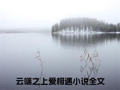 安云南季遇川最新章节，安云南季遇川今日热议小说完本阅读