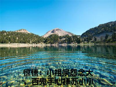 惊悚：小祖宗怨念大，百鬼手心捧苏小小全本小说无弹窗阅读-惊悚：小祖宗怨念大，百鬼手心捧苏小小（惊悚：小祖宗怨念大，百鬼手心捧苏小小）精彩热门小说