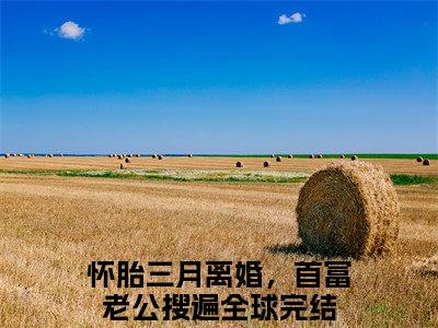 怀胎三月离婚，首富老公搜遍全球（傅寒夜沈念）完整版小说阅读-怀胎三月离婚，首富老公搜遍全球小说（傅寒夜沈念）精彩免费试读