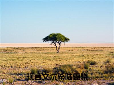 沈希陆霆骁抖音完结版阅读《沈希陆霆骁》最新章节目录好书推荐_(沈希陆霆骁)