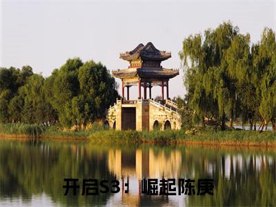 开启S3：崛起陈庚大结局无广告 热门小说开启S3：崛起陈庚全集免费阅读