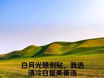 白月光想倒贴，我选清冷白富美秦浩（白月光想倒贴，我选清冷白富美秦浩）全文免费阅读大结局-白月光想倒贴，我选清冷白富美秦浩完整版无弹窗