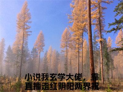 我玄学大佬，靠直播走红阴阳两界祝阑小说最新章节试读_我玄学大佬，靠直播走红阴阳两界祝阑是(我玄学大佬，靠直播走红阴阳两界祝阑)小说主角热门推荐_笔趣阁