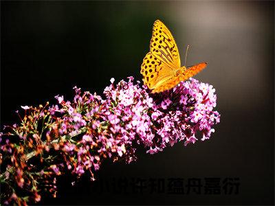 热门小说推荐许知蕴舟嘉衍-许知蕴舟嘉衍全文免费大结局