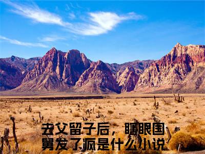 去父留子后，瞎眼国舅发了疯（沈枝熹宋涟舟）正版小说最新章节在线阅读_（沈枝熹宋涟舟全文免费阅读无弹窗）