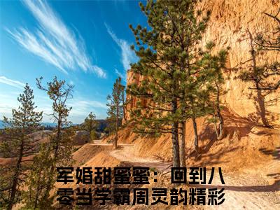 军婚甜蜜蜜：回到八零当学霸周灵韵完整版《军婚甜蜜蜜：回到八零当学霸周灵韵》全文阅读