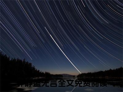 许静盛无言全文免费阅读大结局-许静盛无言小说最新章节阅读