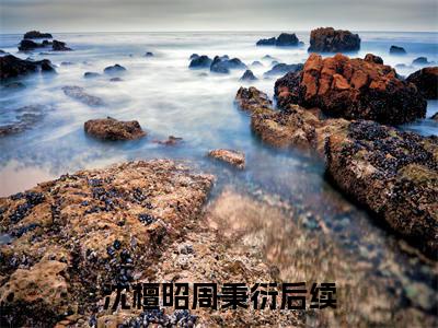 沈檀昭周秉衍全本资源免费阅读结局无删节-被传绯闻？她联姻对象是港城大亨小说全文阅读无弹窗（沈檀昭周秉衍）