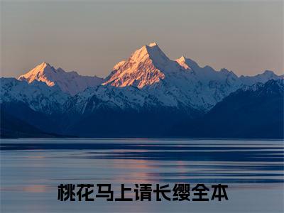 宋惜惜战北望全集小说完整版大结局_桃花马上请长缨完结版在线阅读
