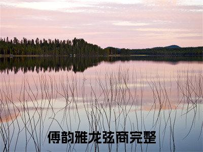 傅韵雅龙弦商(傅韵雅龙弦商)全文免费阅读_傅韵雅龙弦商章节免费阅读-笔趣阁