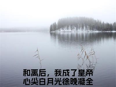 和离后，我成了皇帝心尖白月光徐晚凝（和离后，我成了皇帝心尖白月光徐晚凝）全文免费阅读无弹窗_和离后，我成了皇帝心尖白月光徐晚凝最新小说_笔趣阁（和离后，我成了皇帝心尖白月光徐晚凝）