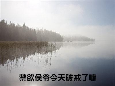 禁欲侯爷今天破戒了嘛宁小茶赵征在线小说-宁小茶赵征全文无删减版阅读