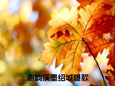 谢韵溪墨绍城(谢韵溪墨绍城)全文免费读无弹窗大结局_谢韵溪墨绍城免费阅读全文大结局最新章节列表_笔趣阁