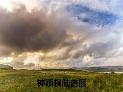 钟雨桐陆皓辰(钟雨桐陆皓辰)全文免费阅读无弹窗大结局_(钟雨桐陆皓辰免费阅读全文大结局)最新章节列表_笔趣阁（钟雨桐陆皓辰）