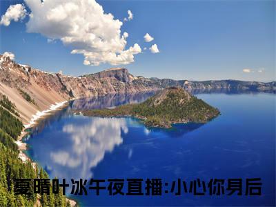 午夜直播:小心你身后（夏晴叶冰）免费阅读无弹窗大结局-夏晴叶冰（最新全章节大结局）全文阅读