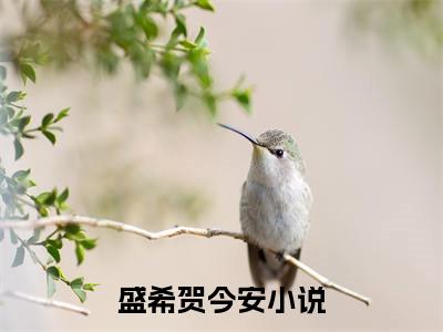 盛希贺今安（盛希贺今安）全文在线阅读无弹窗大结局_盛希贺今安最新章节列表_笔趣阁